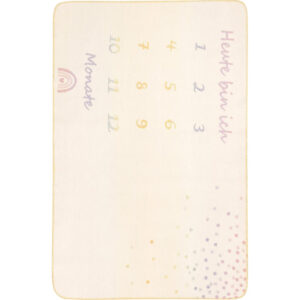 Детский плед Biederlack Lovely&Sweet Milestone
